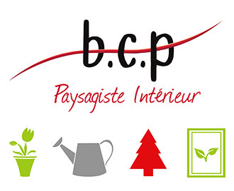 BCP Paysagiste Intérieur à Dijonn